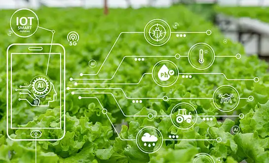 The Science of Amino Acid Biostimulants for Sustainable Agriculture